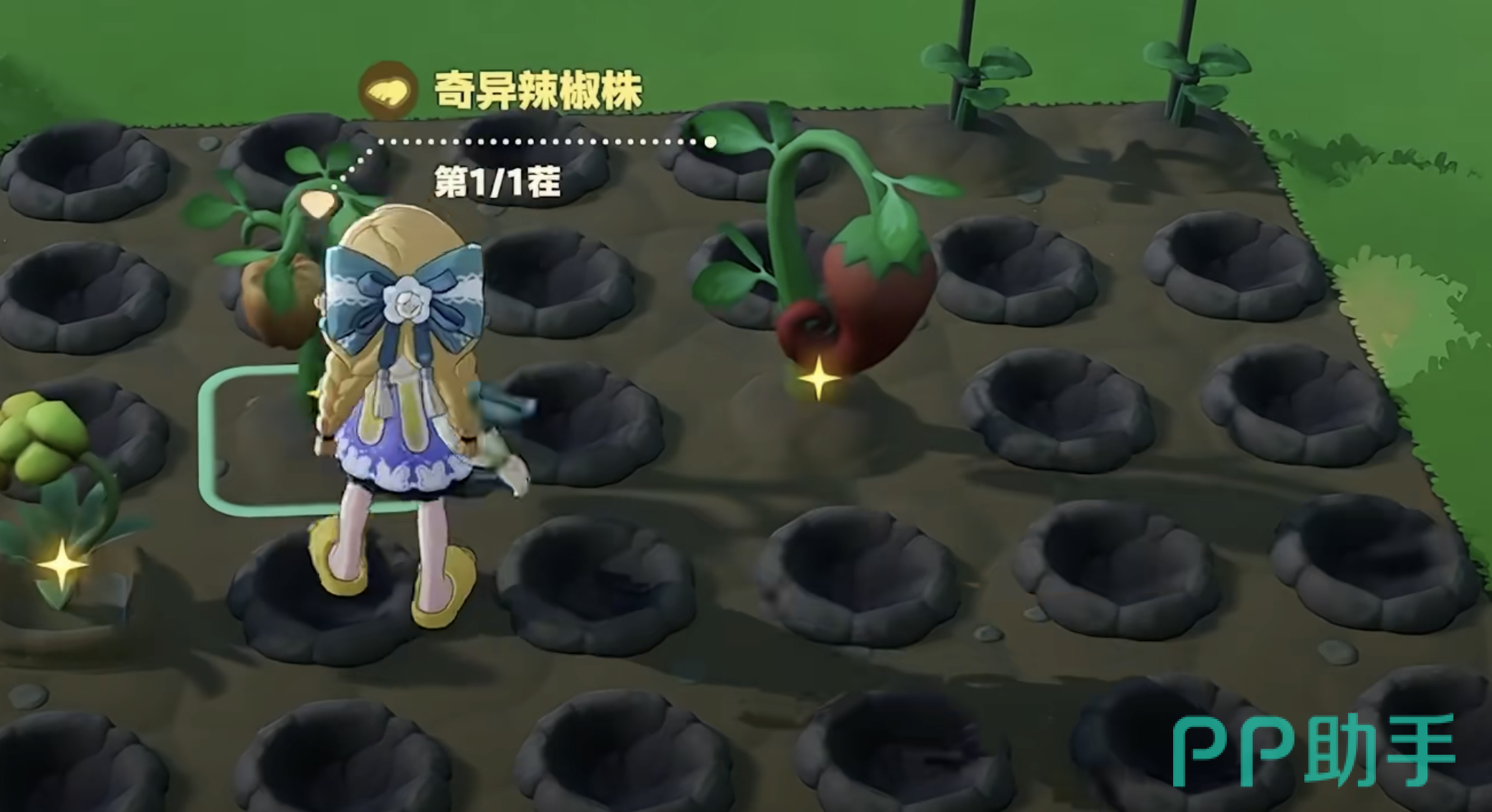 星布谷地金色奇特作物生成流程图
