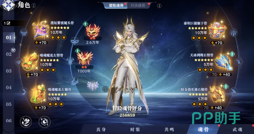 星宸灵瞳骨与月辉晶心铠外观展示