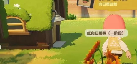禾夏水稻田与塔法小麦田对比图