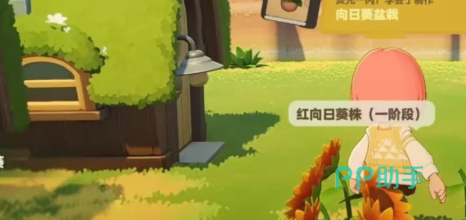 禾夏水稻田与塔法小麦田对比图