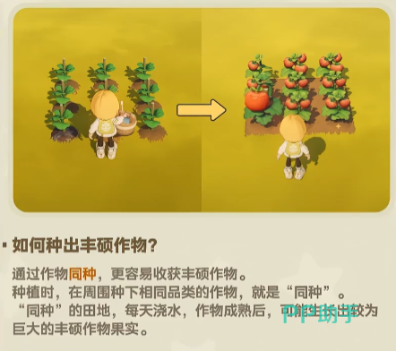 星布谷地丰硕作物示意图