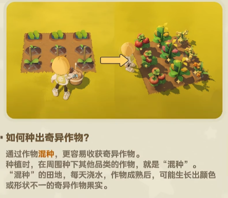 星布谷地奇异作物示意图