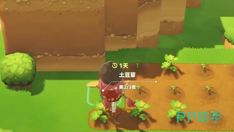 星布谷地肥料介绍图一