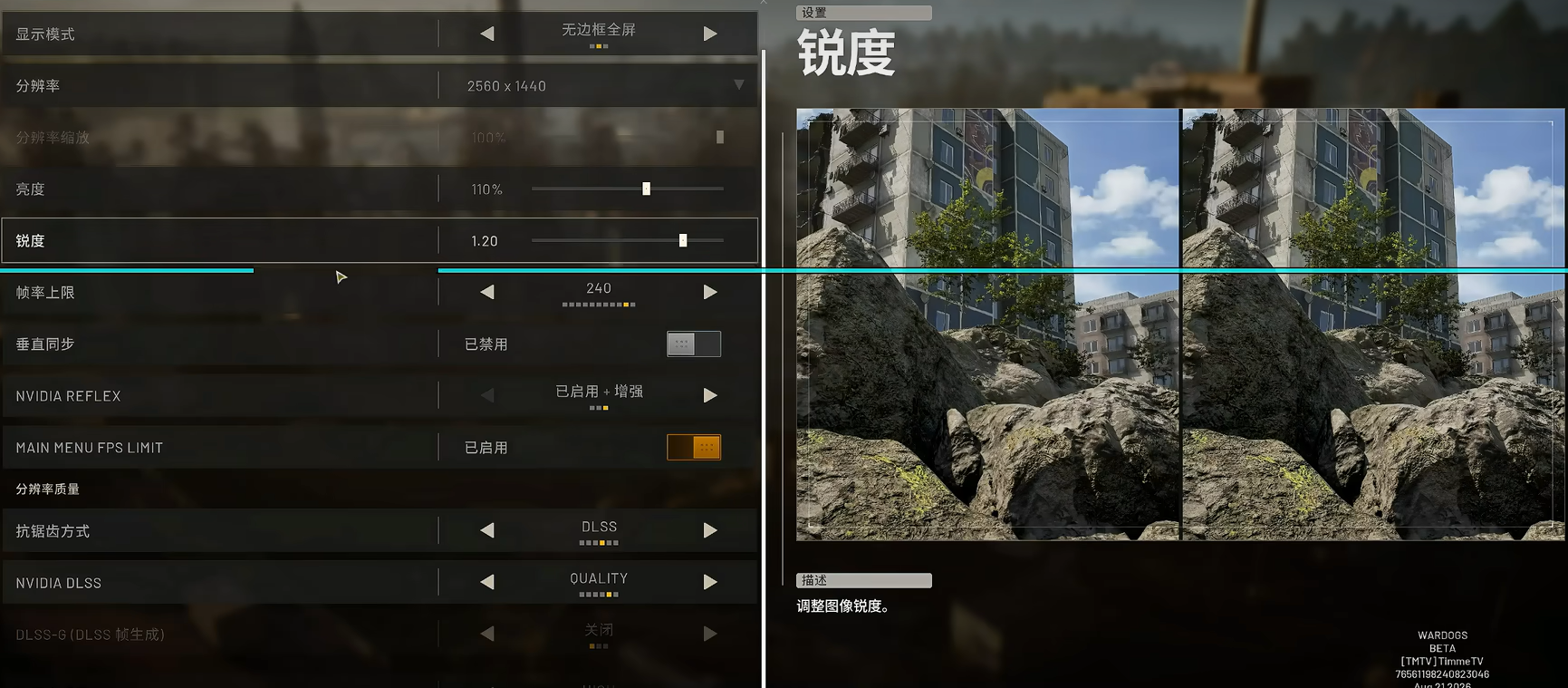 WARDOGS基础显示设置面板