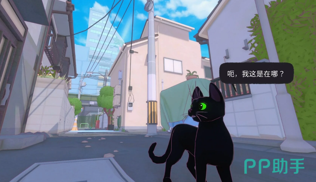 小猫咪大城市地图总览