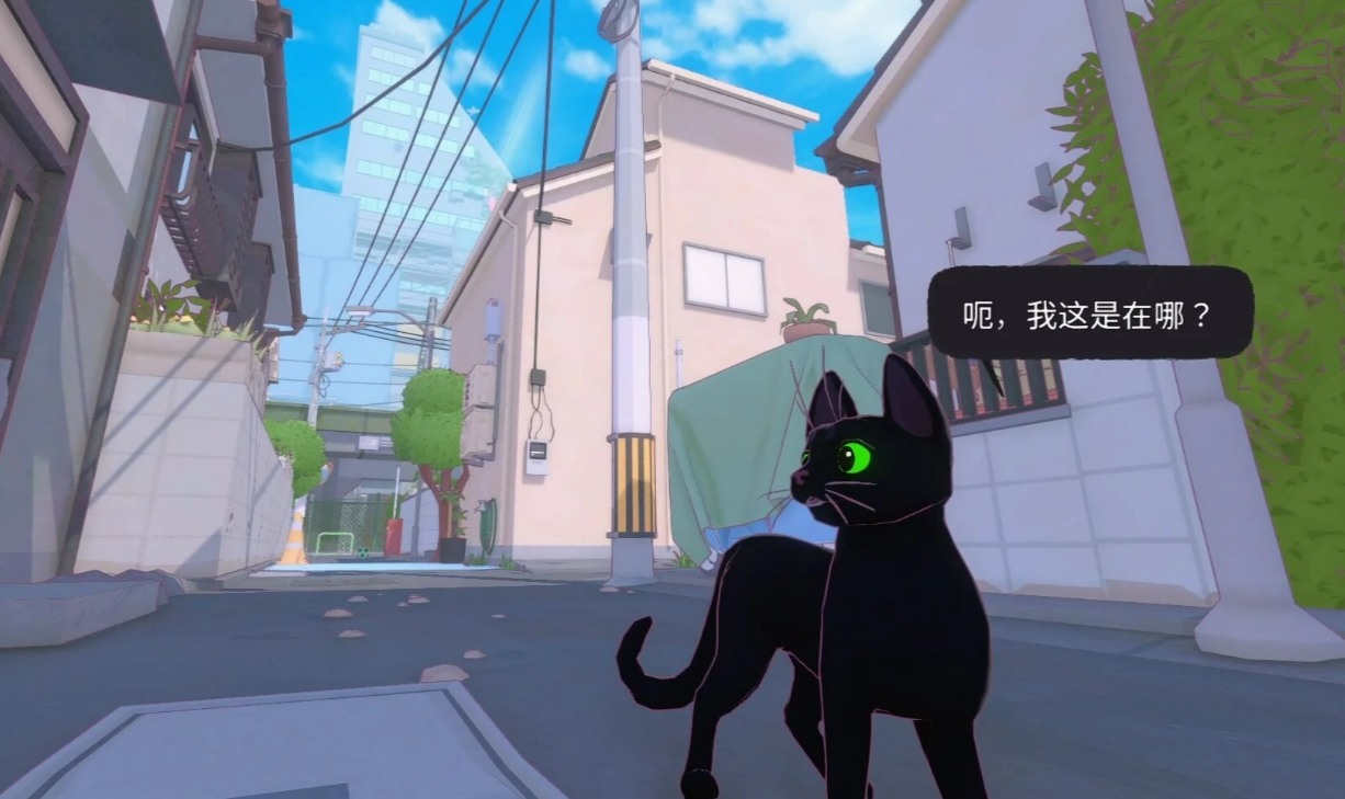小猫咪大城市全部动物有哪些？所有动物种类与出现位置一览