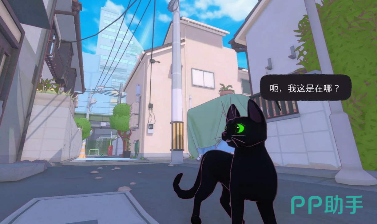 小猫咪大城市动物伙伴分布