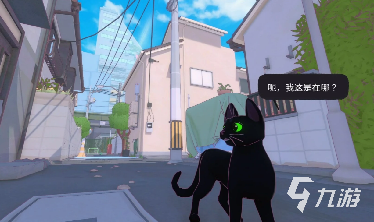 小猫咪大城市全部动物有哪些?所有动物种类与出现位置一览