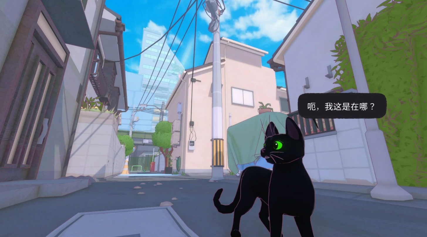 小猫咪大城市剧情回家画面