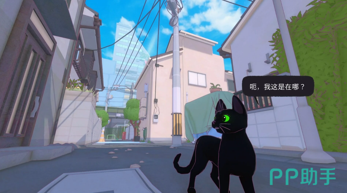小猫咪大城市剧情回家画面