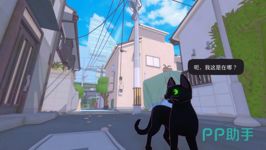 小猫咪大城市下载预约界面截图