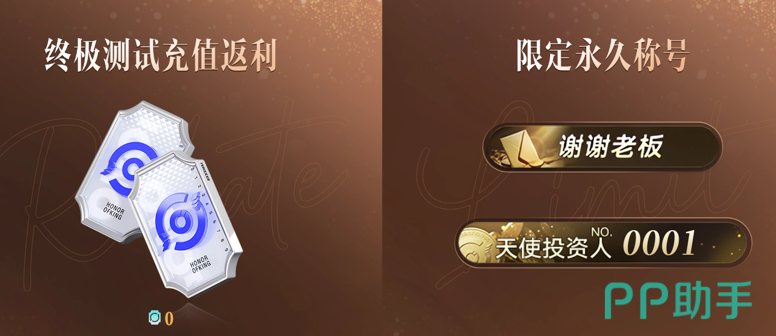 王者万象棋天使投资人编号展示图