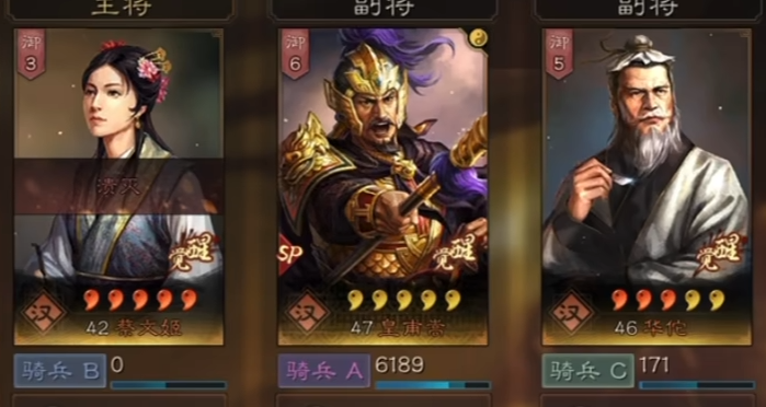 三国志战略版悬壶济世骑阵容示意图