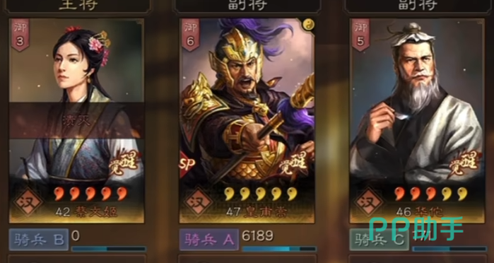 三国志战略版悬壶济世骑阵容示意图