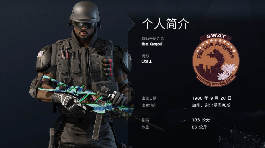 Castle装甲板防御说明图