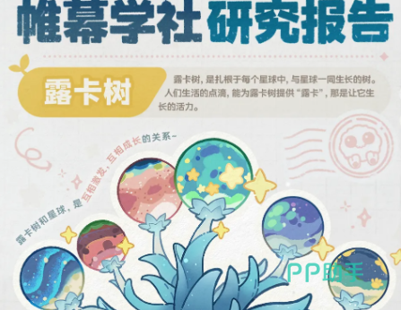 星布谷地材质选择与生态布局