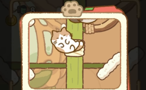 灵瑞集猫咪树屋多种猫咪互动画面