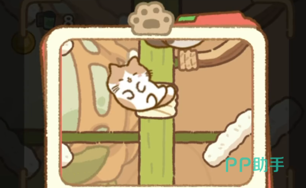 灵瑞集猫咪树屋多种猫咪互动画面