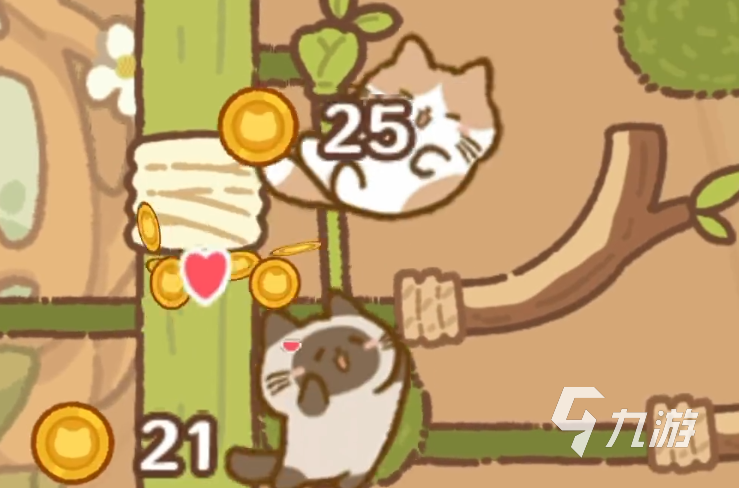 灵瑞集猫咪树屋好玩吗?特色玩法与体验介绍