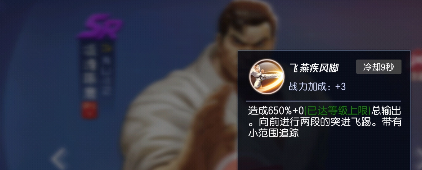 坂崎琢磨飞燕疾风与至高拳技能效果图