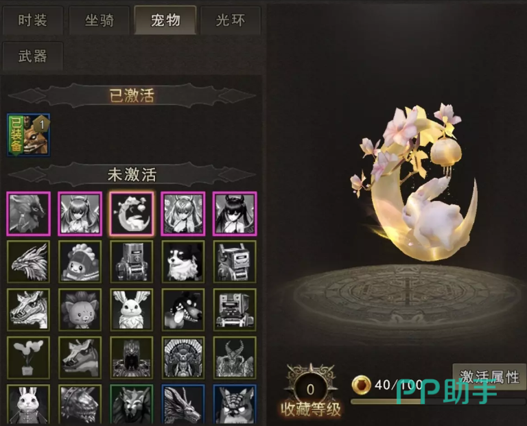 神泣纷争宠物进阶与培养方式