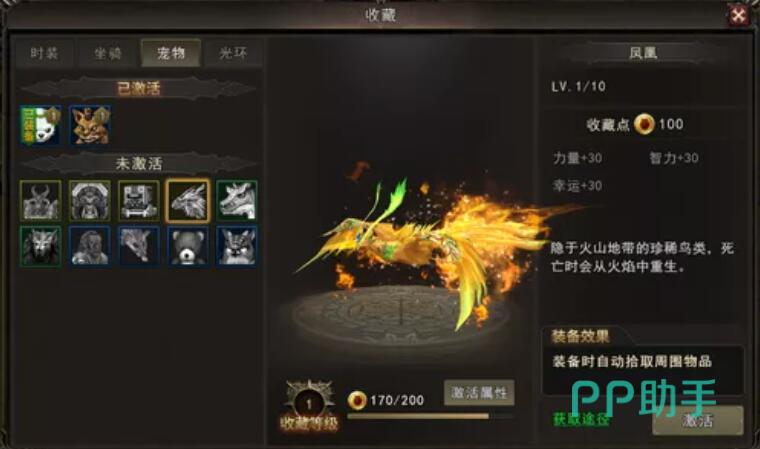 神泣纷争宠物档次与品质说明