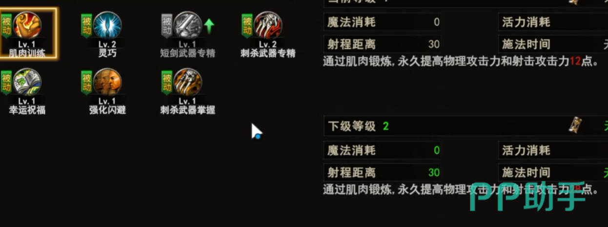 神泣纷争刺客极限幸暴流属性加点