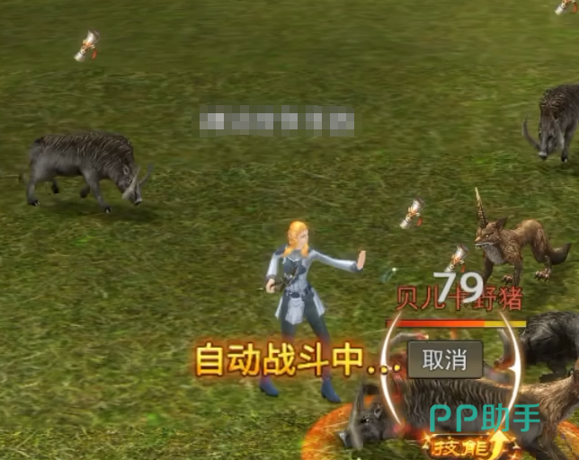 PVP与GVG阵营选择建议