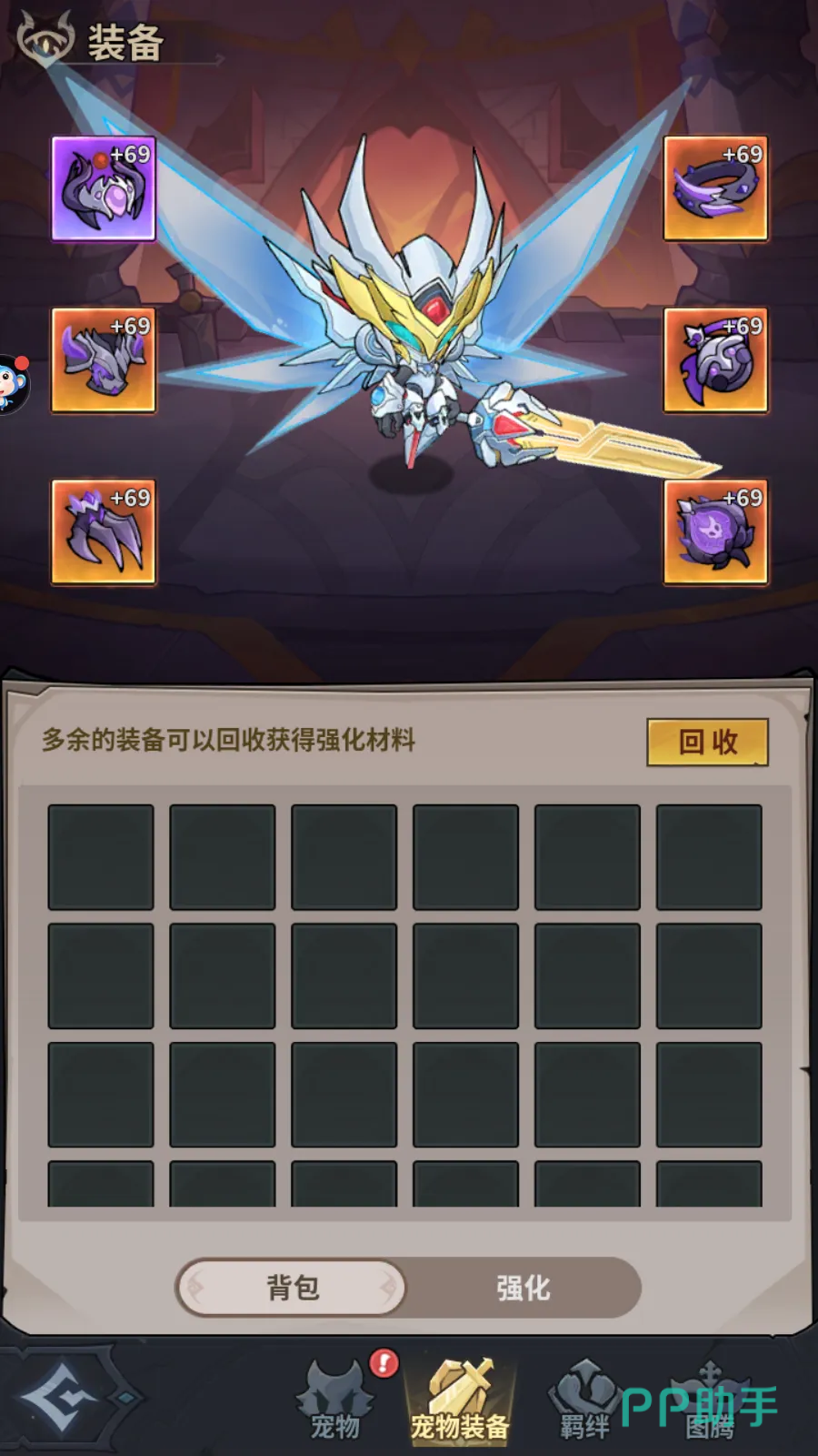 地城狩猎宠物装备详情图