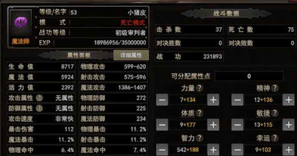 魔法师智力属性加点参考
